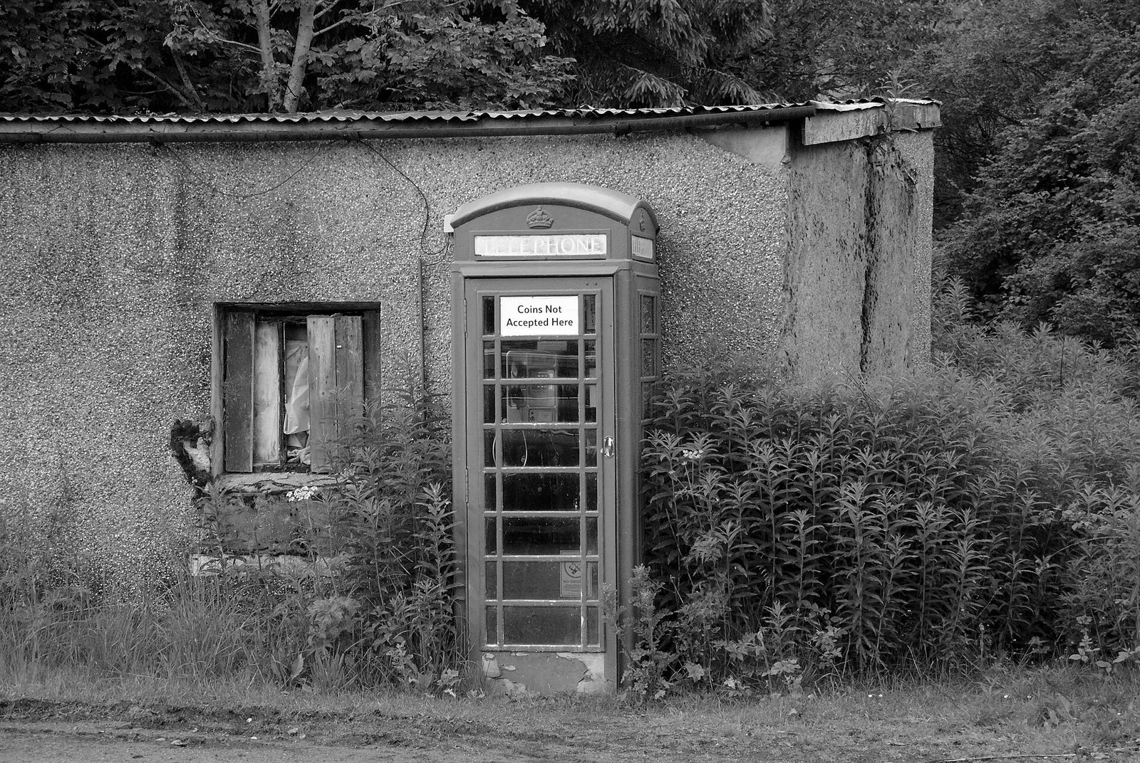 A red telephone box overgrown with nettles in the Highlands